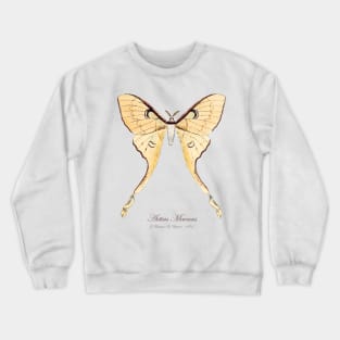 Moth - Malaysian Moon Moth, Actias Maenas Leto female  3 Crewneck Sweatshirt